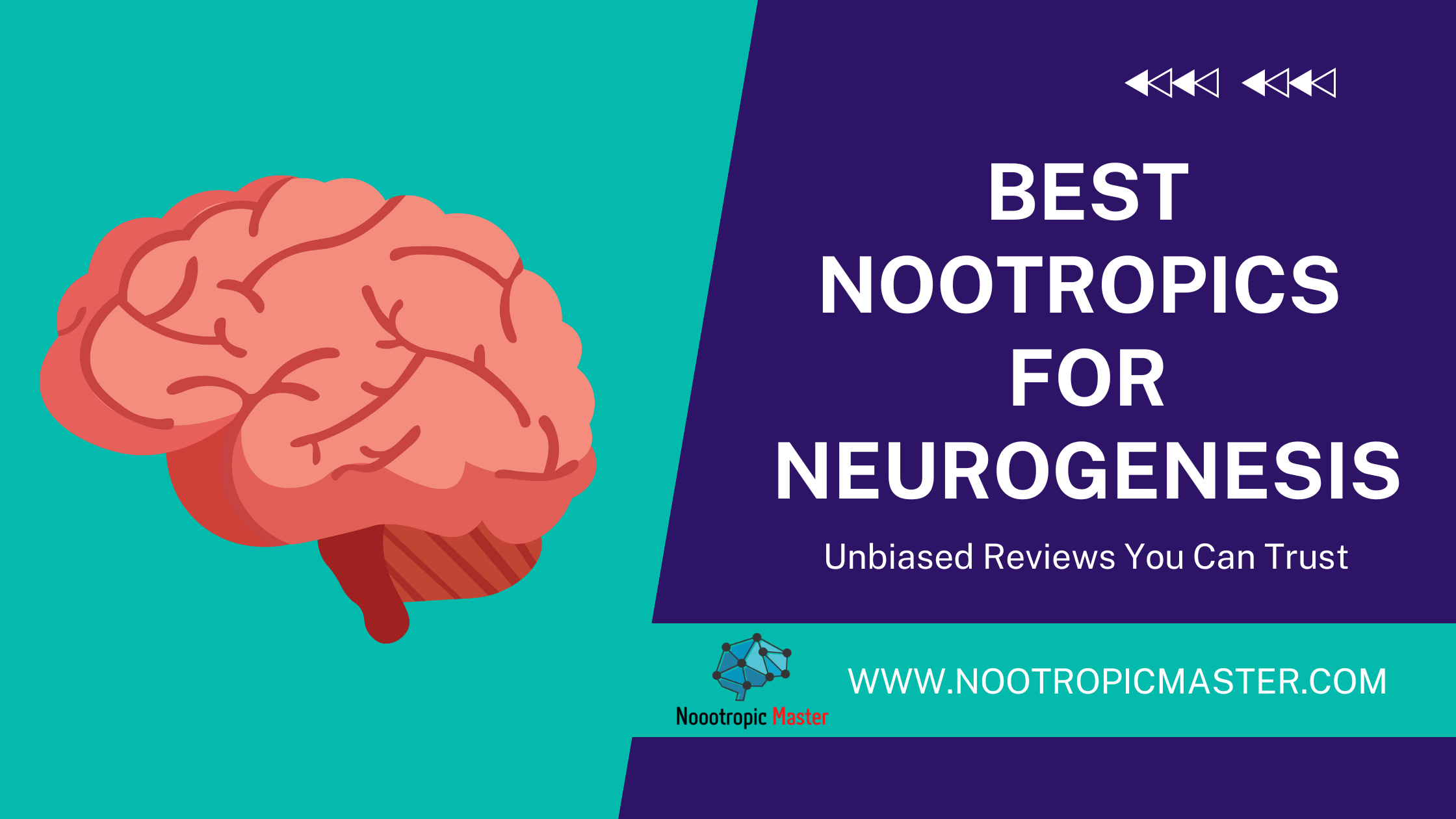 Best Nootropics For Neurogenesis